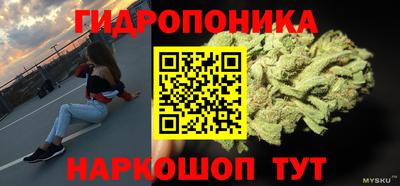 бошки Гусев
